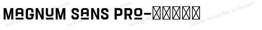 magnum sans pro字体转换